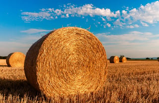 straw-bales-726976_1920.jpg